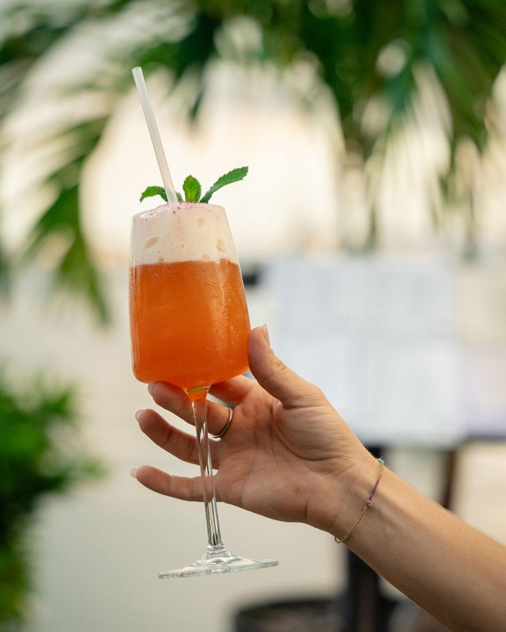 Alizé Restaurant - Marigot - Saint-Martin - SXMMAP